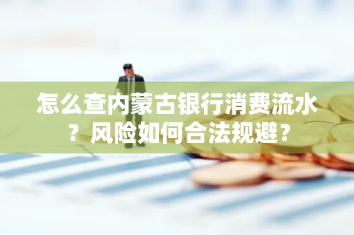 怎么查内蒙古银行消费流水?风险如何合法规避?