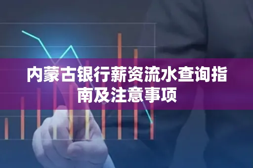 内蒙古银行薪资流水查询指南及注意事项