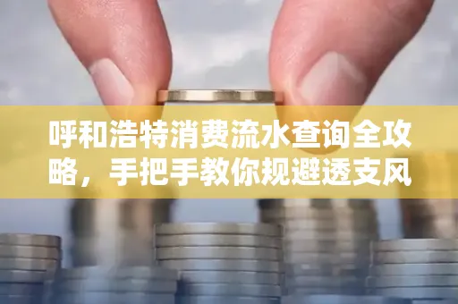 呼和浩特消费流水查询全攻略,手把手教你规避透支风险