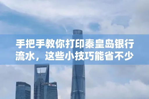 手把手教你打印秦皇岛银行流水,这些小技巧能省不少事
