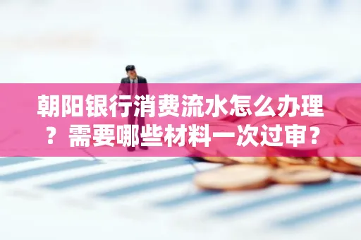 朝阳银行消费流水怎么办理?需要哪些材料一次过审?