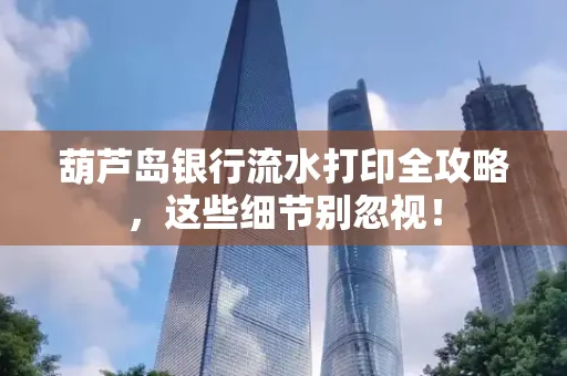 葫芦岛银行流水打印全攻略,这些细节别忽视!