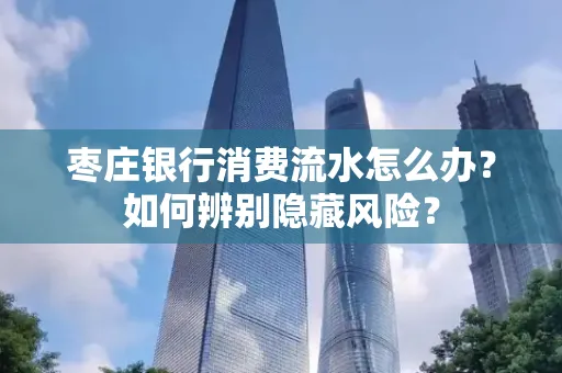 枣庄银行消费流水怎么办?如何辨别隐藏风险?