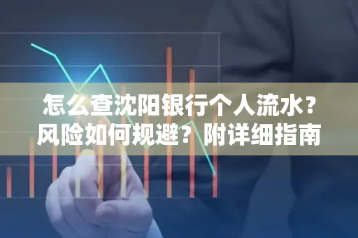 怎么查沈阳银行个人流水?风险如何规避?附详细指南