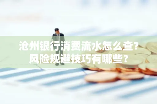 沧州银行消费流水怎么查?风险规避技巧有哪些?