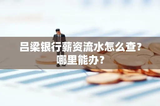 吕梁银行薪资流水怎么查?哪里能办?
