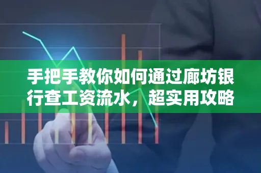手把手教你如何通过廊坊银行查工资流水,超实用攻略不走弯路