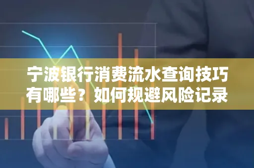 宁波银行消费流水查询技巧有哪些?如何规避风险记录?