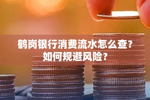 鹤岗银行消费流水怎么查?如何规避风险?