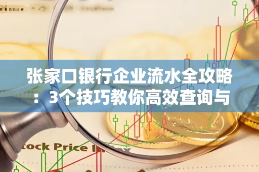 张家口银行企业流水全攻略:3个技巧教你高效查询与风险规避