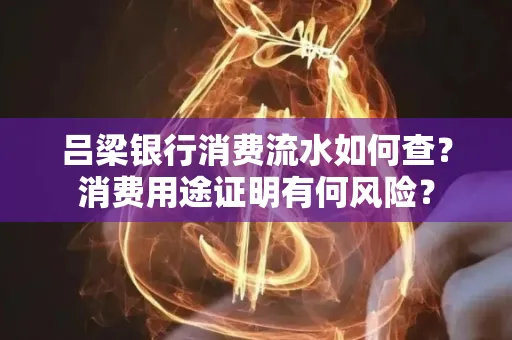 吕梁银行消费流水如何查?消费用途证明有何风险?