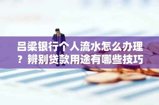 吕梁银行个人流水怎么办理?辨别贷款用途有哪些技巧?