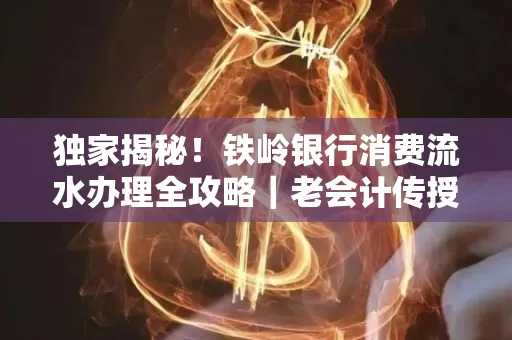独家揭秘!铁岭银行消费流水办理全攻略|老会计传授防诈技巧
