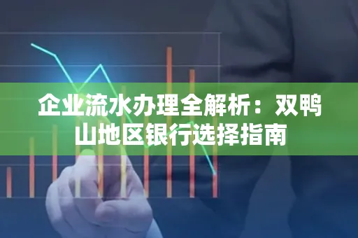 企业流水办理全解析:双鸭山地区银行选择指南