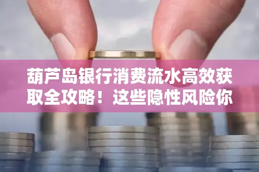葫芦岛银行消费流水高效获取全攻略!这些隐性风险你必须知道