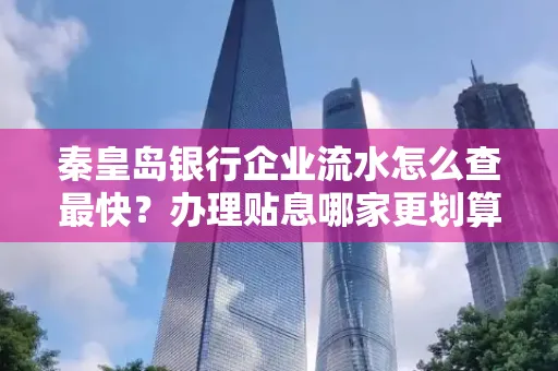 秦皇岛银行企业流水怎么查最快?办理贴息哪家更划算?
