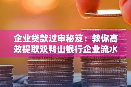 企业贷款过审秘笈:教你高效提取双鸭山银行企业流水