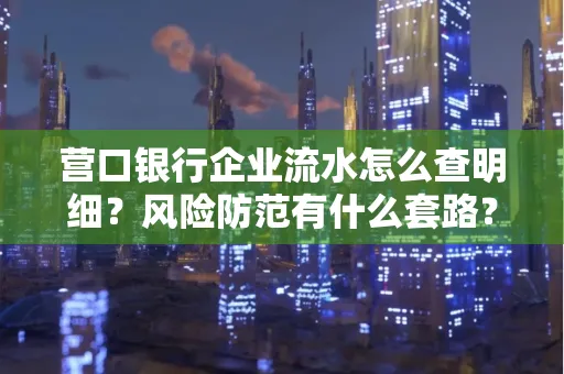 营口银行企业流水怎么查明细?风险防范有什么套路?