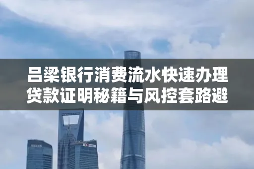 吕梁银行消费流水快速办理贷款证明秘籍与风控套路避坑指南