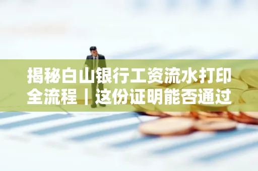 揭秘白山银行工资流水打印全流程|这份证明能否通过审核?