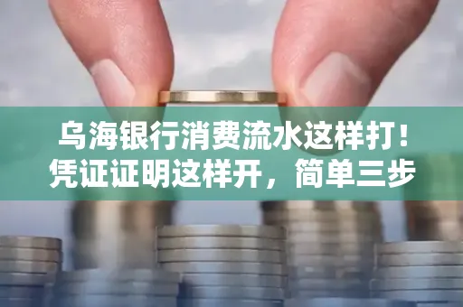 乌海银行消费流水这样打!凭证证明这样开,简单三步轻松搞定