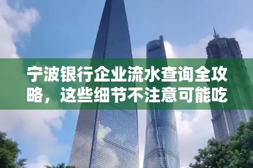 宁波银行企业流水查询全攻略,这些细节不注意可能吃大亏