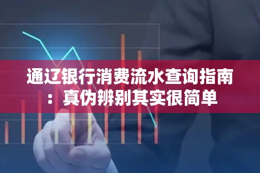 通辽银行消费流水查询指南:真伪辨别其实很简单