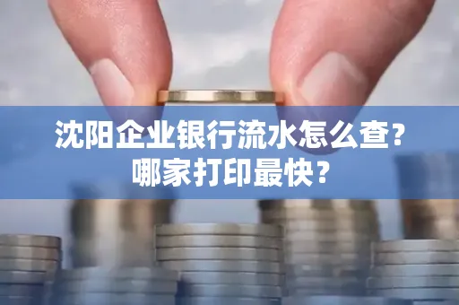 沈阳企业银行流水怎么查?哪家打印最快?