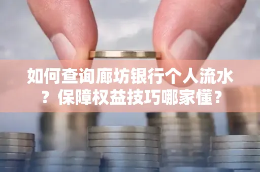 如何查询廊坊银行个人流水?保障权益技巧哪家懂?