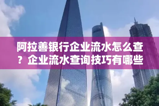 阿拉善银行企业流水怎么查?企业流水查询技巧有哪些?