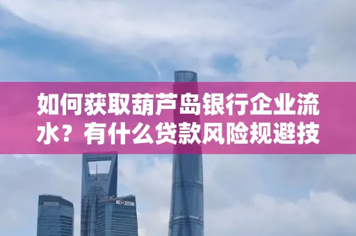 如何获取葫芦岛银行企业流水?有什么贷款风险规避技巧?