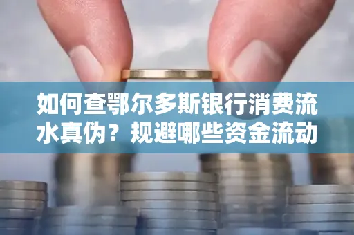 如何查鄂尔多斯银行消费流水真伪?规避哪些资金流动风险?防范要点解析