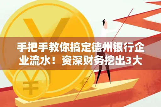 手把手教你搞定德州银行企业流水!资深财务挖出3大隐藏风险点