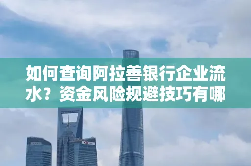 如何查询阿拉善银行企业流水?资金风险规避技巧有哪些?