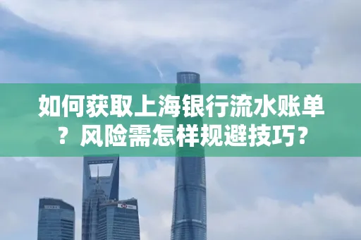 如何获取上海银行流水账单?风险需怎样规避技巧?
