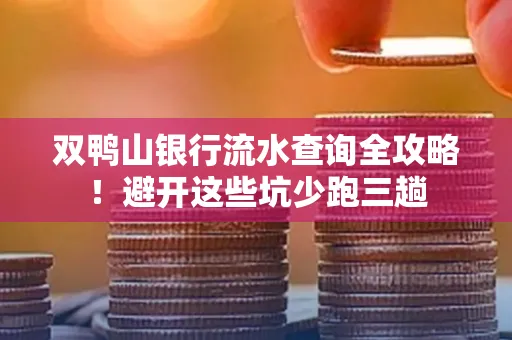 双鸭山银行流水查询全攻略!避开这些坑少跑三趟