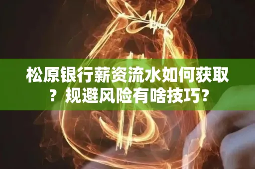 松原银行薪资流水如何获取?规避风险有啥技巧?