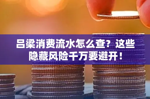 吕梁消费流水怎么查?这些隐藏风险千万要避开!