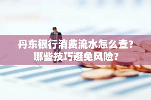 丹东银行消费流水怎么查?哪些技巧避免风险?