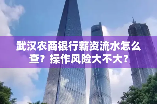 武汉农商银行薪资流水怎么查？操作风险大不大？