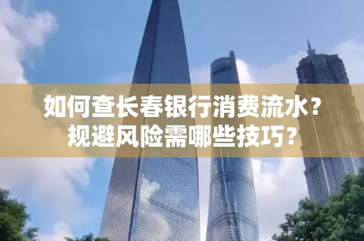 如何查长春银行消费流水?规避风险需哪些技巧?