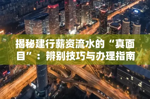 揭秘建行薪资流水的“真面目”：辨别技巧与办理指南大公开