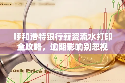 呼和浩特银行薪资流水打印全攻略,逾期影响别忽视