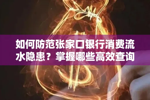 如何防范张家口银行消费流水隐患?掌握哪些高效查询技巧?